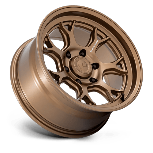 17x8.5 Black Rhino BR017 Etosha Matte Bronze Wheel 6x4.5 (-10mm)