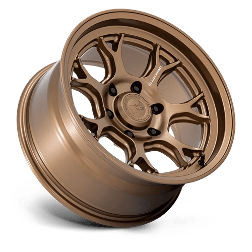 17x8.5 Black Rhino BR017 Etosha Matte Bronze Wheel 6x135 (0mm)
