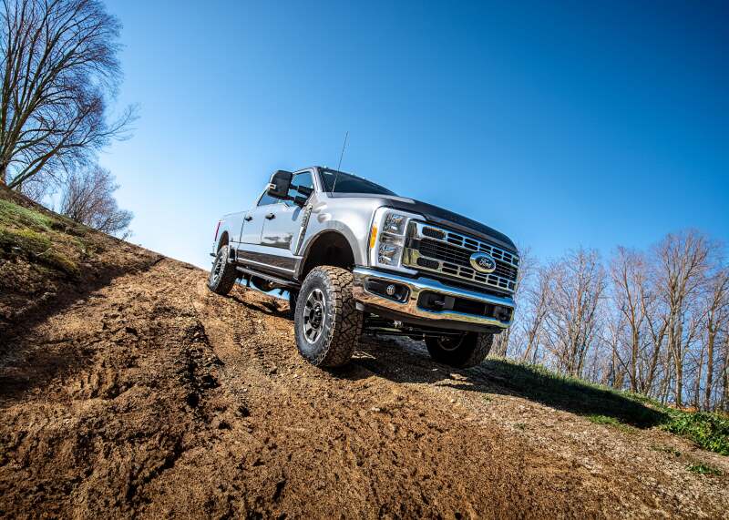 Photo - Close Up